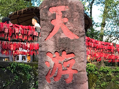 踏青山聚同心，必源環(huán)保武夷山團(tuán)建之旅圓滿收官！